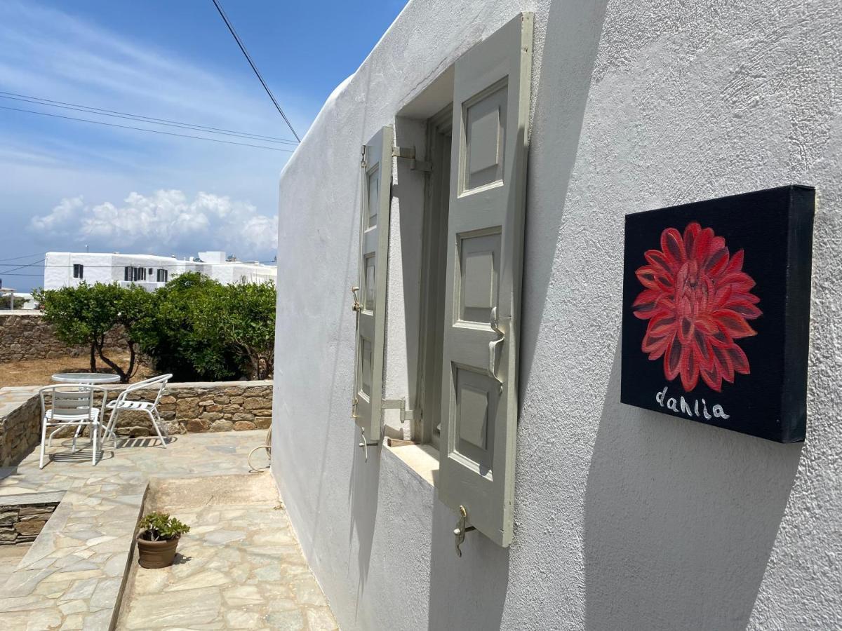 Sing And Blossom Accommodation Mykonos Town Exterior photo